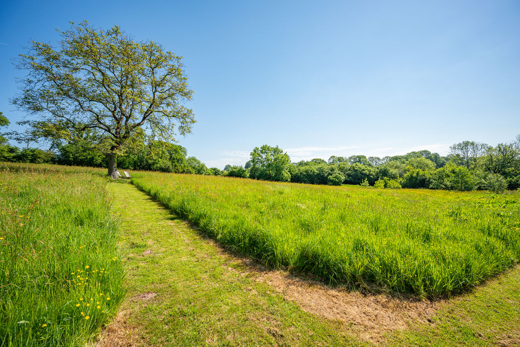 Land- click for photo gallery
